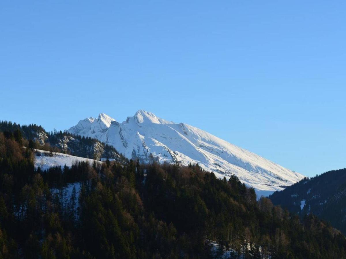 Appartement Le Grand-Bornand, 3 pièces, 6 personnes - FR-1-241-100 Esterno foto